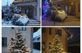 Casa individuala Scheia, 280mp, proiect deosebit cu sauna si teren 1000mp