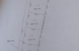 Oportunitate!Teren intravilan ,7552 mp parcelabil , drum de 7m , Lisaura