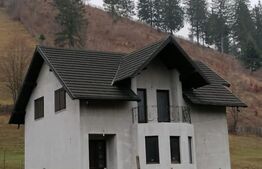 Casa individuala partial mobilata, 5000mp teren, Sat Negrileasa 