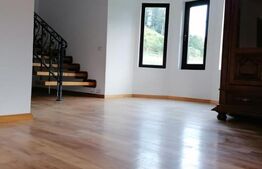 Casa individuala partial mobilata, 5000mp teren, Sat Negrileasa 