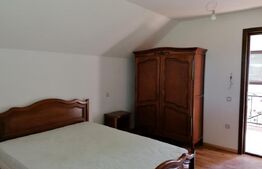 Casa individuala partial mobilata, 5000mp teren, Sat Negrileasa 