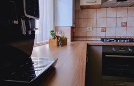 Apartament 4 camere, 120 mp, mobilat/utilat, zona Catedrala