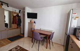 Apartament 4 camere, 120 mp, mobilat/utilat, zona Catedrala