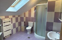 Casa 7 camere, 430 mp utili, Burdujeni