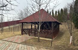 Casa 7 camere, 430 mp utili, Burdujeni