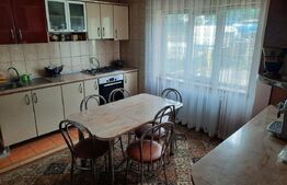 Casa individuala , 7 camere ,490 mp utili si 1200 mp teren zona Itcani