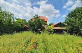 Casa individuala , 7 camere ,490 mp utili si 1200 mp teren zona Itcani