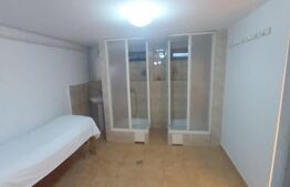 Oportunitate! Spatiu comercial, restaurant, 100 mp, zona Centrala