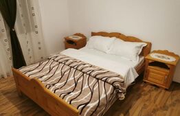 Imobil cu destinatie turistica, Moldovita, 500mp