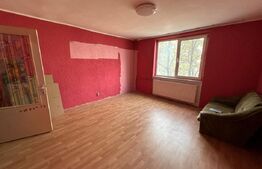 Garsonierea 31 mp, zona Burdujeni