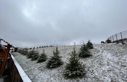 Foisor pentru evenimente, 90mp, teren 2800 mp, zona Paltinoasa 