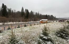 Foisor pentru evenimente, 90mp, teren 2800 mp, zona Paltinoasa 