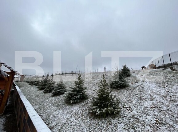 Casa de vânzare 1 camera Exterior Vest - 144334CV | BLITZ Suceava | Poza12