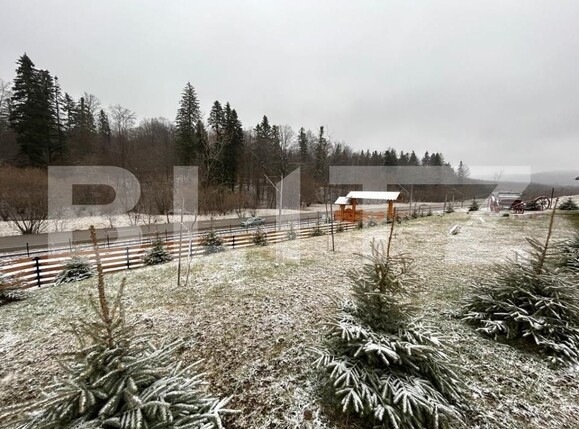 Casa de vânzare 1 camera Exterior Vest - 144334CV | BLITZ Suceava | Poza15