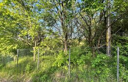 Teren intravilan ,cu vegetatie, 2700 mp, zona Siret