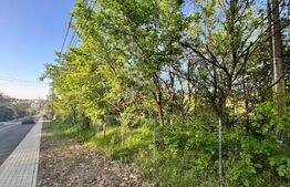 Teren intravilan ,cu vegetatie, 2700 mp, zona Siret