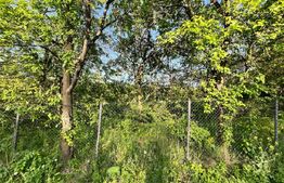 Teren intravilan ,cu vegetatie, 2700 mp, zona Siret