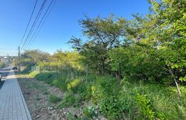 Teren intravilan ,cu vegetatie, 2700 mp, zona Siret