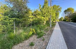 Teren intravilan ,cu vegetatie, 2700 mp, zona Siret