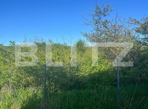 Teren de vânzare Siret - 144621TV | BLITZ Suceava | Poza7