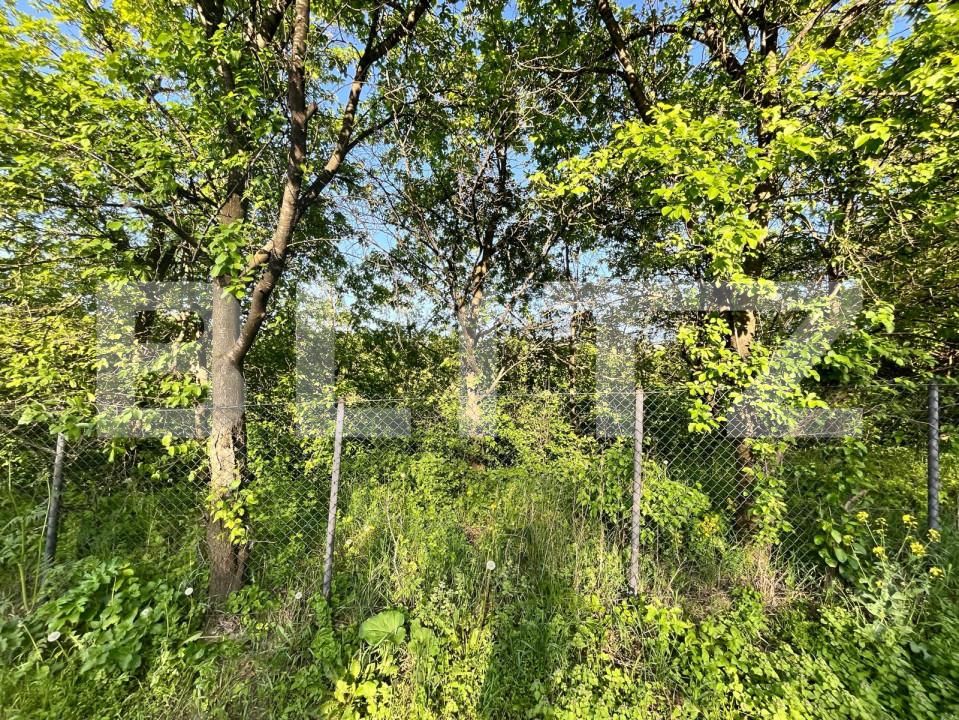 Teren de vânzare Siret - 144621TV | BLITZ Suceava | Poza2