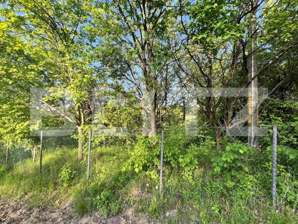 Teren de vânzare Siret - 144621TV | BLITZ Suceava | Poza6