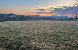 Teren intravilan -Horodnic de Jos- Oportunitate unica de investitie!