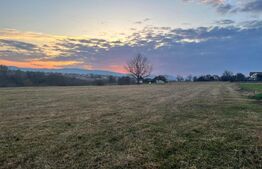 Teren intravilan -Horodnic de Jos- Oportunitate unica de investitie!