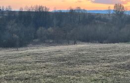 Teren intravilan -Horodnic de Jos- Oportunitate unica de investitie!