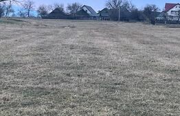 Teren intravilan -Horodnic de Jos- Oportunitate unica de investitie!