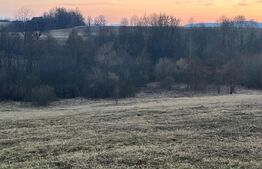 Teren intravilan -Horodnic de Jos- Oportunitate unica de investitie!