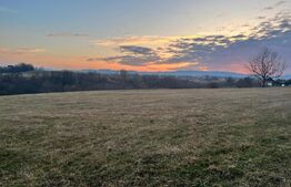 Teren intravilan -Horodnic de Jos- Oportunitate unica de investitie!