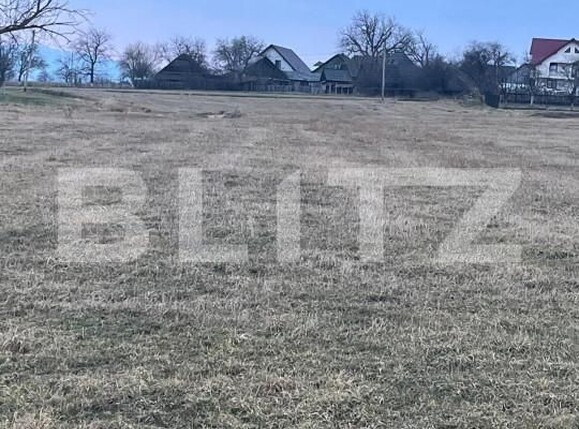 Teren de vânzare Horodnic - 144622TV | BLITZ Suceava | Poza5