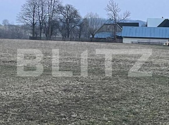 Teren de vânzare Horodnic - 144622TV | BLITZ Suceava | Poza4