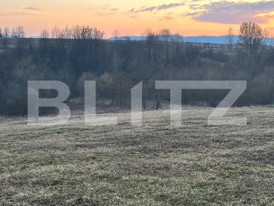 Teren de vânzare Horodnic - 144622TV | BLITZ Suceava | Poza6