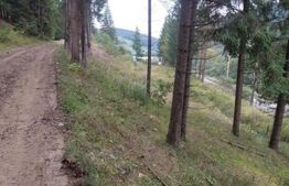 Teren extravilan cu vegetatie forestiera,1ha-Ciumârna (Vatra Moldovitei)