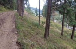 Teren extravilan cu vegetatie forestiera,1ha-Ciumârna (Vatra Moldovitei)