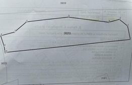 Teren extravilan cu vegetatie forestiera,1ha-Ciumârna (Vatra Moldovitei)