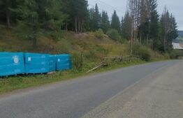 Teren extravilan cu vegetatie forestiera,1ha-Ciumârna (Vatra Moldovitei)