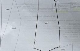 Teren extravilan cu vegetatie forestiera,1ha-Ciumârna (Vatra Moldovitei)