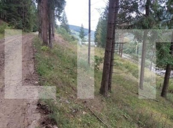 Teren de vânzare Radauti - 144623TV | BLITZ Suceava | Poza2