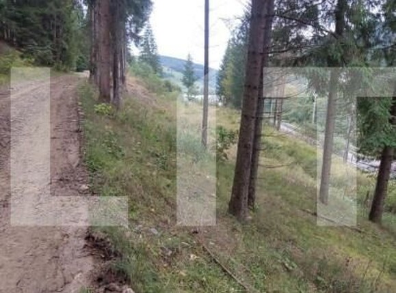 Teren de vânzare Radauti - 144623TV | BLITZ Suceava | Poza1