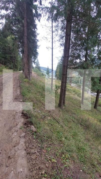 Teren de vânzare Radauti - 144623TV | BLITZ Suceava | Poza2