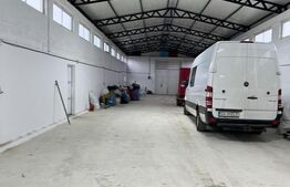 Hala 360 mp, 1700mp teren, Radauti