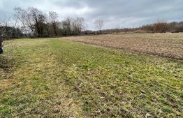 Teren intravilan 5775 mp- Galanesti