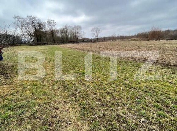 Teren de vânzare Galanesti - 144625TV | BLITZ Suceava | Poza4