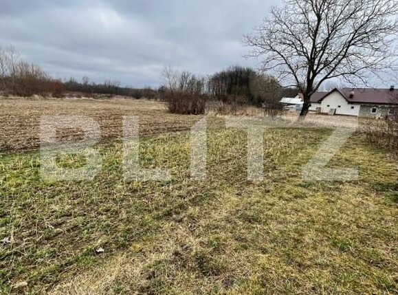 Teren de vânzare Galanesti - 144625TV | BLITZ Suceava | Poza2