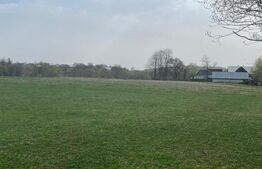 Teren intravilan- Horodnic de Jos (preț negociabil)