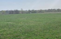 Teren intravilan- Horodnic de Jos (preț negociabil)