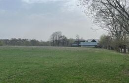 Teren intravilan- Horodnic de Jos (preț negociabil)